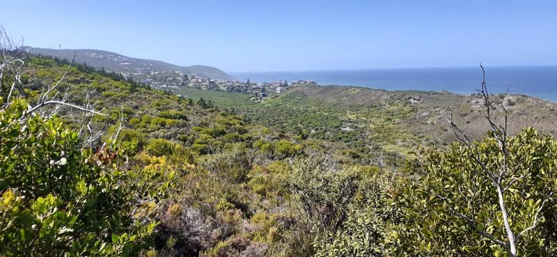 0 Bedroom Property for Sale in Knysna Western Cape